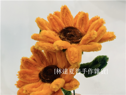向日葵毛根材料包
