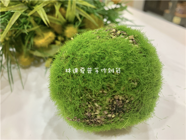 112080900040 青苔球6cm