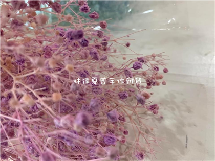 112090900015 不凋夢幻星