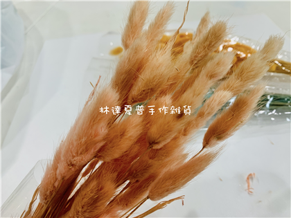 112084840038 義大利兔尾