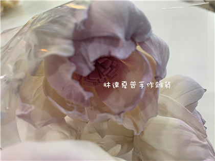112084900019-2 索拉牡丹6ＣＭ