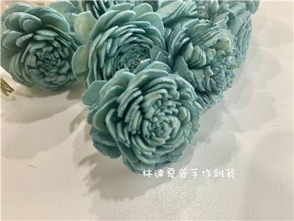112084840040 太陽玫瑰（中）