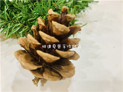 112084220198 小松果