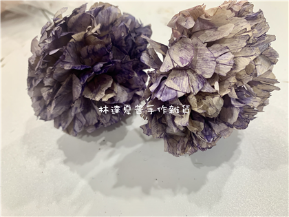 索拉-紫色浪漫