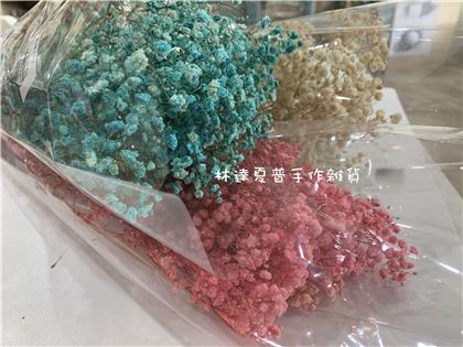 滿天星