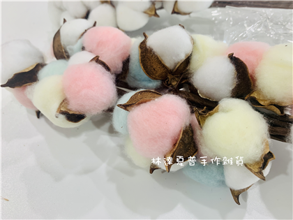 112110900435彩色棉花