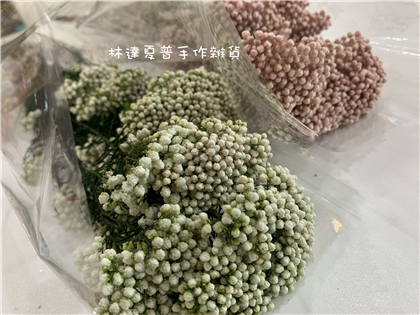 112090900018不凋小米花