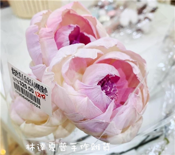112084900024 索拉牡丹8cm