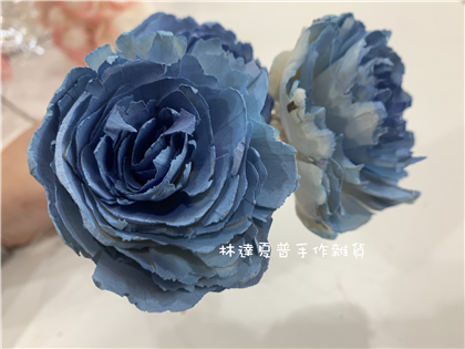 112084900023-2 索拉波斯8CM
