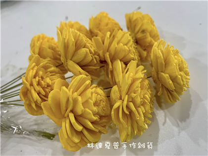 112084840040-2 太陽玫瑰（中）