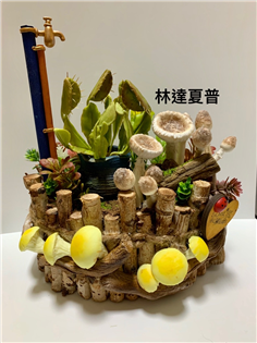 TR100-仿真多肉中型組合盆～補蠅草
