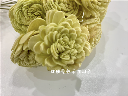 112084840040-6 太陽玫瑰（中）
