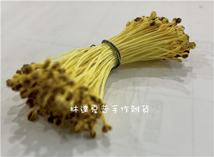 向日葵花心