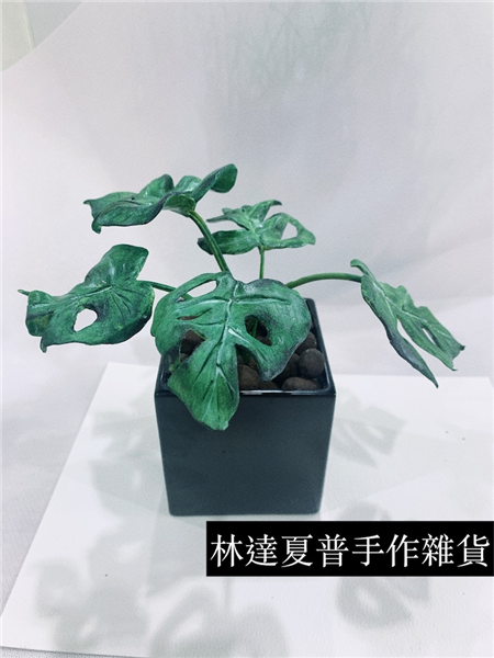 仿真龜背芋擺飾