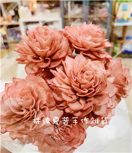 260000 索拉花大理花6cm 粉橘色