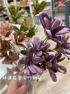 112084840144 瓜子花