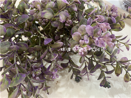 112124280195 5頭七里香
