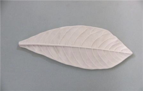 A31103 萬年青葉模 20*7.5cm
