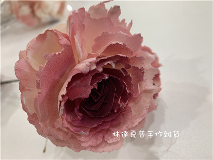 112084900023 索拉波斯8CM