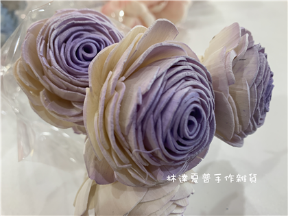 112084900020-3 索拉大美眉