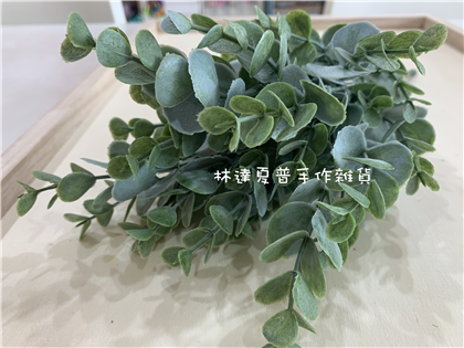 112124430036 大葉尤加利束