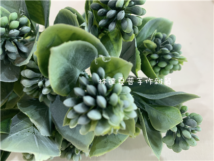 112110900446 香凝花果