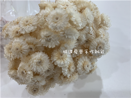 112084840003-2 腊菊
