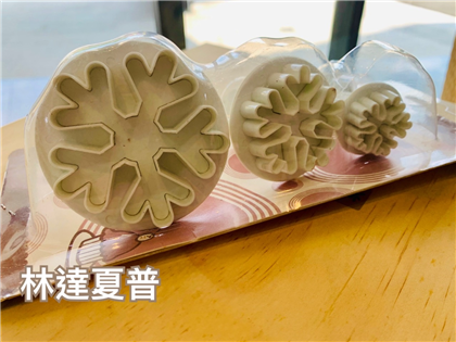 A262雪花彈簧壓模