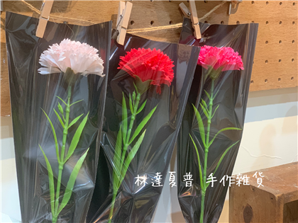 香皂花康乃馨