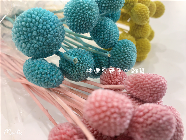 112090900023 不凋黃金球