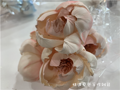 112084900019 索拉牡丹6ＣＭ