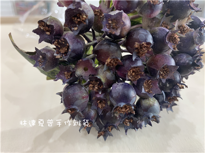 112040900271 小時溜（96)
