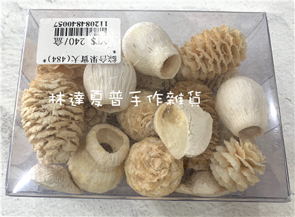 112084840057 綜合果實大（484)