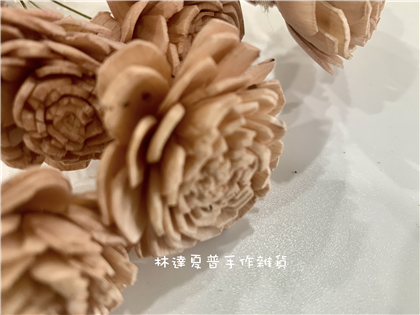 112084840040-5 太陽玫瑰（中）