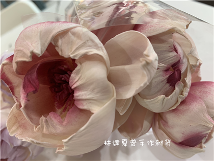 112084900019-5 索拉牡丹6ＣＭ