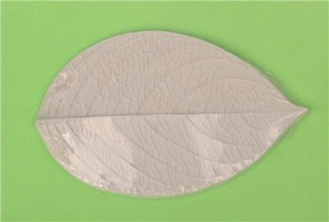 Ａ331107-01 繡球葉模17*10.5CM