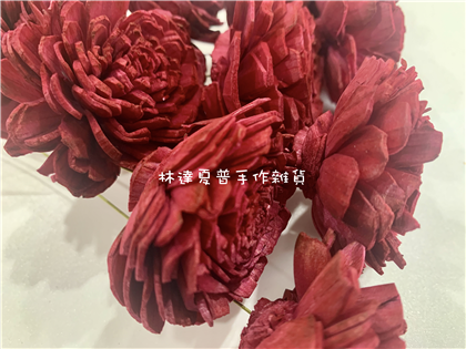 112084840044-2太陽玫瑰（大）