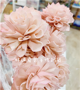 260000 索拉花大理花6cm 粉紅色