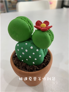 童趣馬卡龍仙人掌