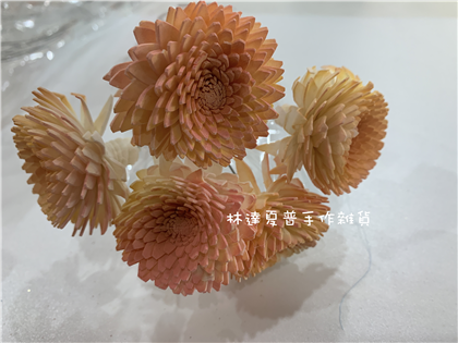 112084900014-2 索拉雲南菊