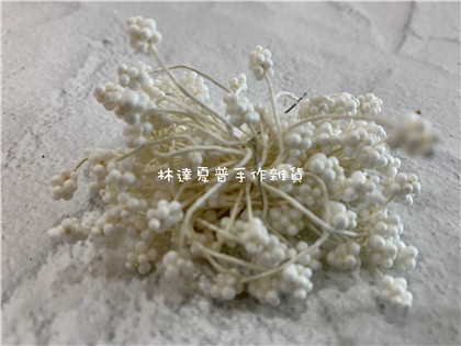 保力龍花蕊