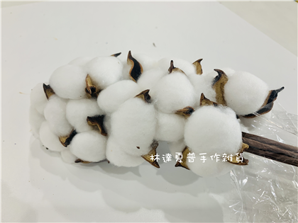 112110900435白色棉花
