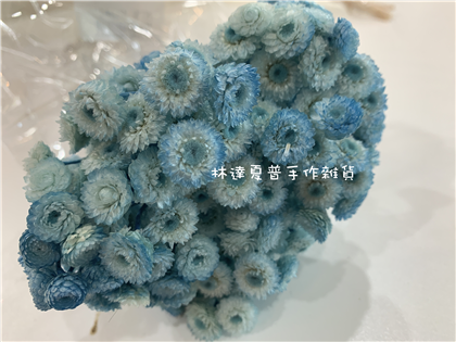 112084840003 腊菊