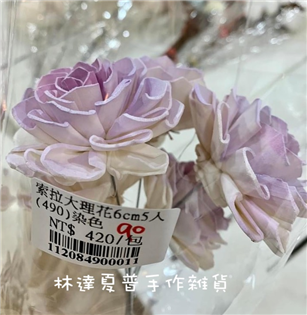 112084900011索拉大理花6cm