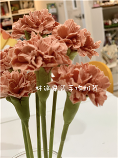 康乃馨