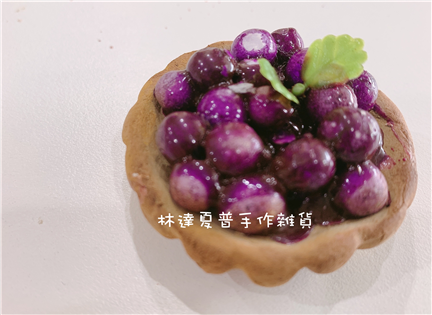 SW009藍莓派